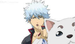 动漫是怎么制作出来的,从创意到屏幕的奇幻之旅